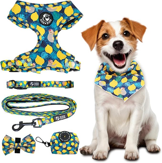 No Pull Harness and Leash Set - 6-in-1 Adjustable Vest Harness and Collars for Medium and Large Dogs. (Lemon, Extra Small)
