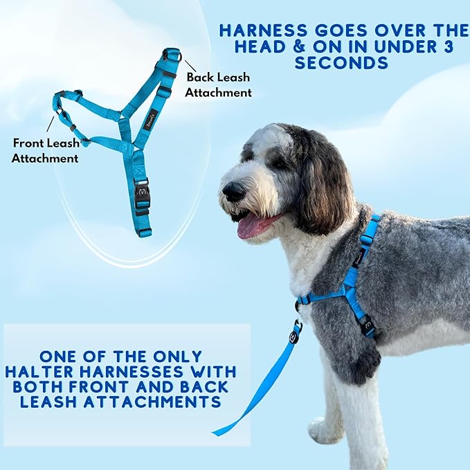 ShawnCo Dream Walk No-Pull Dog Harness- Adjustable, Comfortable, Easy to Use Pet Halter to Help Stop Pulling for Small, Medium and Large Dogs (Rose Gold, S)