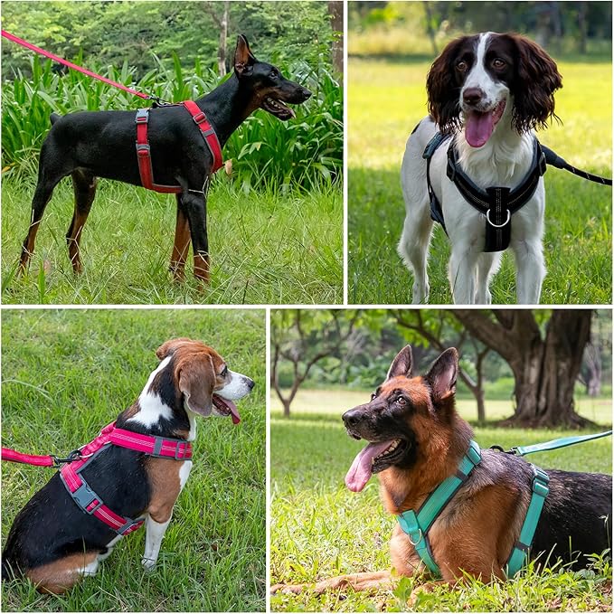 Plutus Pet No Pull Dog Harness, Adjustable Nylon Harness with Soft Padding, Reflective and Heavy Duty Dog Harness for Small, Medium, Large Dogs(Cyan, L)