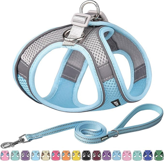 AIITLE Small Harness for Puppy with A Leash - Dog Vest Harness with Super Breathable Mesh, Reflective No-Pull Pet Harness for Outdoor Walking, Running for Small Dogs, Cats Blue XXS