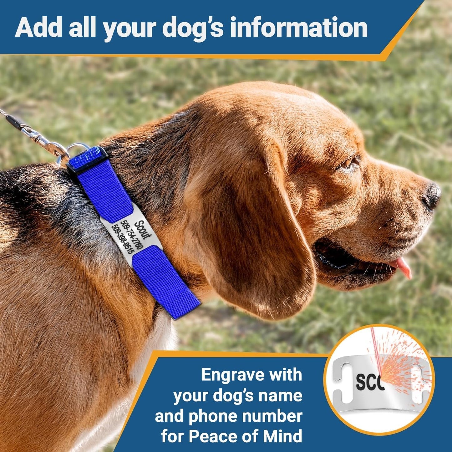GoTags Personalized Dog Collar with Nameplate, Adjustable Dog Collar with Custom Engraved Slide On Pet ID Tag in Stainless Steel, Silent, No Noise Dog Tag (Light Gray, Large)