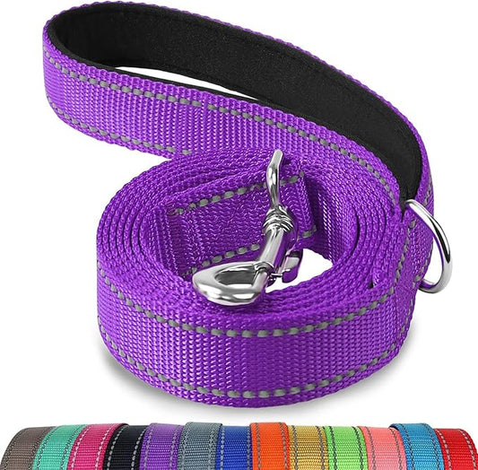 Joytale Dog Leash, 4 FT Double-Sided Reflective, Padded Handle Nylon Heavy Duty Leashes for Medium & Large Dogs Walking, Purple