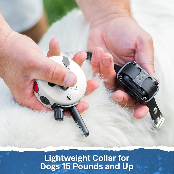 Educator ET-300 Zen Mini E Collar for Dog Training with Remote - 1/2 Mile Range, Waterproof, 100 Blunt Stimulation Levels, Tone or Vibration Mode, Night Light Tracking for Small, Medium & Large Dogs