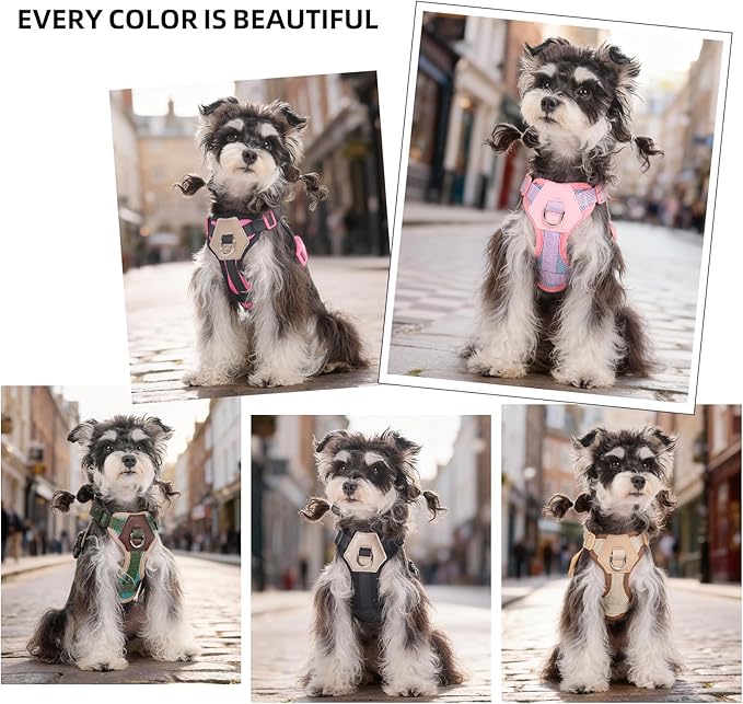 Small Dog Harness and Leash Set, Breathable Mesh Puppy Harness, Adjustable Dog Harness for Small Medium Large Dogs, No-Pull Pet Harness for Daily Walking (Black, Medium)