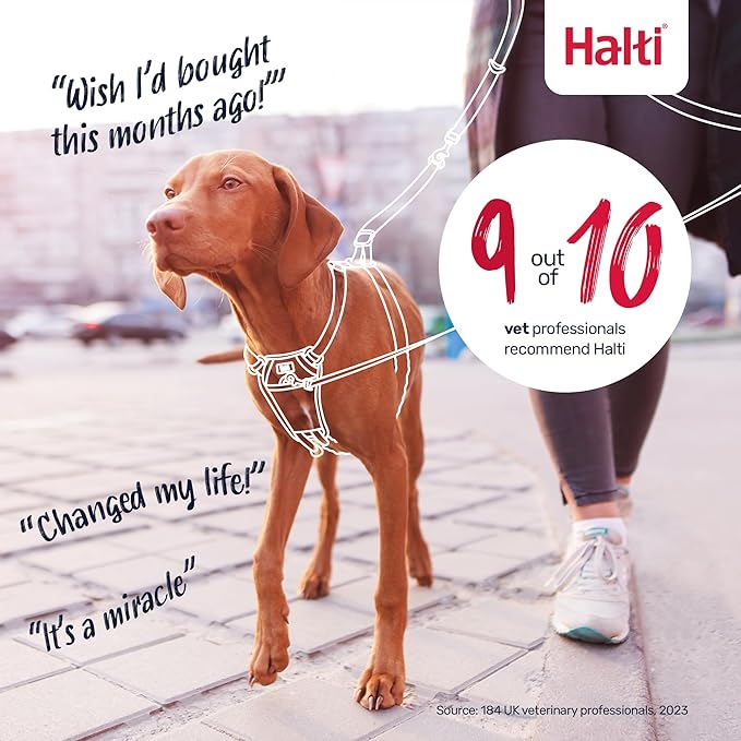Halti No Pull Harness - Stop Your Dog Pulling on The Leash. Adjustable, Lightweight and Easy to Use. Reflective Dog Training Harness for Toy and Small Dogs (Size XS, Desert Sand)