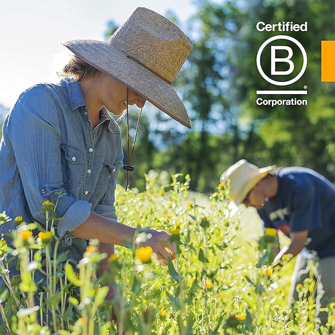 Herb Pharm Kids Certified-Organic Alcohol-Free Lemon Balm Calm Liquid Extract, 1 Ounce (GLKLEMON01)