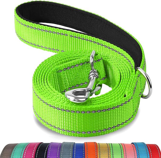 Joytale Dog Leash, 4 FT Double-Sided Reflective, Padded Handle Nylon Heavy Duty Leashes for Small Dogs Walking, Green