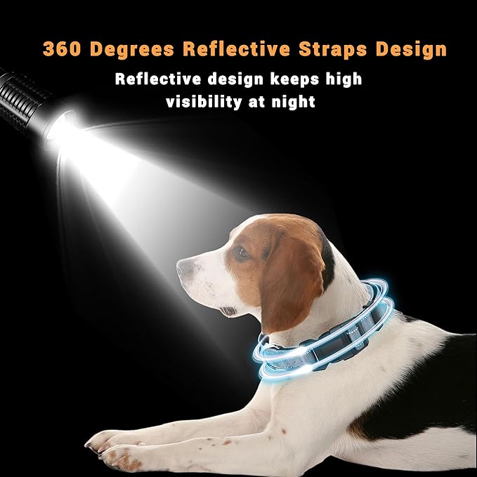 2 Pack Reflective Dog Collar with Safety Locking Buckle, Adjustable Soft Breathable Comfortable Nylon Pet Collar for Small, Medium and Large Dogs, Gray, S