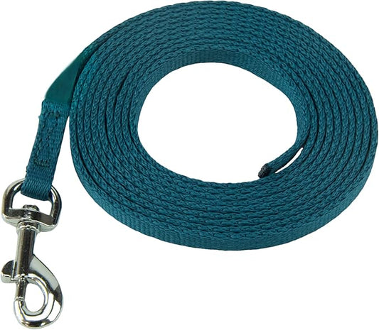Coachi Puppy & Mini Training Line 2.5m - Toilet Training, Jumping Up, Running Off, Place Avoidance, Chewing, House Manners, Lightweight Indoor House Lead. Suitable for Puppies & Newly Acquired Dogs
