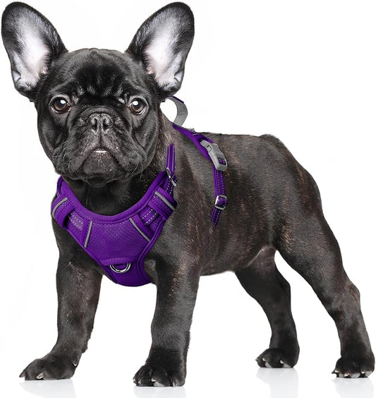 BARKBAY No Pull Dog Harness Large Reflective Dog Harness with Front Clip and Easy Control Handle for Walking Training Running with ID tag Pocket(Purple,S)