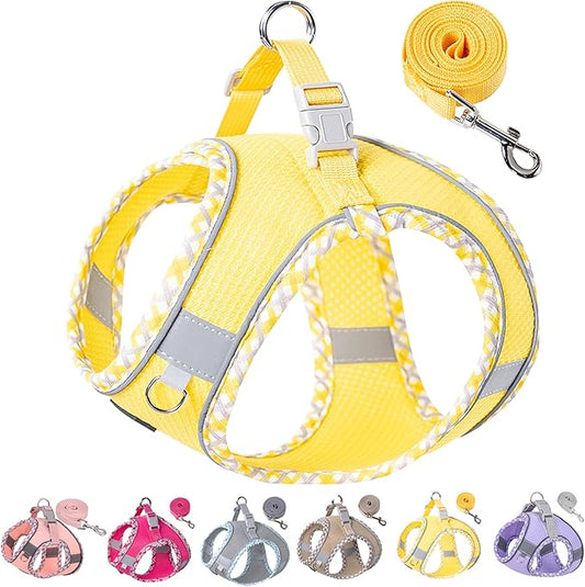 Petank Dog Harness for Small Medium Dogs No Pull, Puppy Harness and Leash Set for Walking, Running, Training, Small Dog Harness, Medium Dog Harness (Yellow, M)