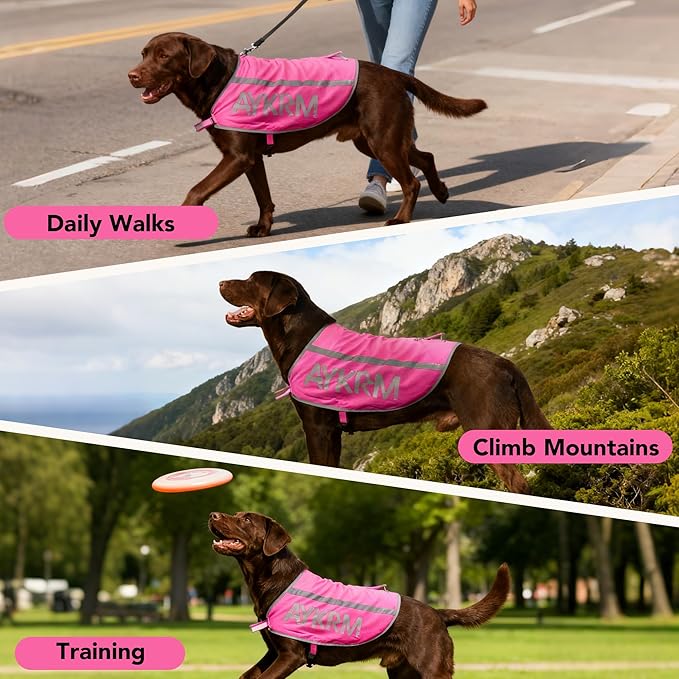 Pink Reflective Dog Vest for Small Breeds,High Visibility Dog Safety Vest Harness with Removable Bell Keep Safe from Hunting, Training & Cars Accidents