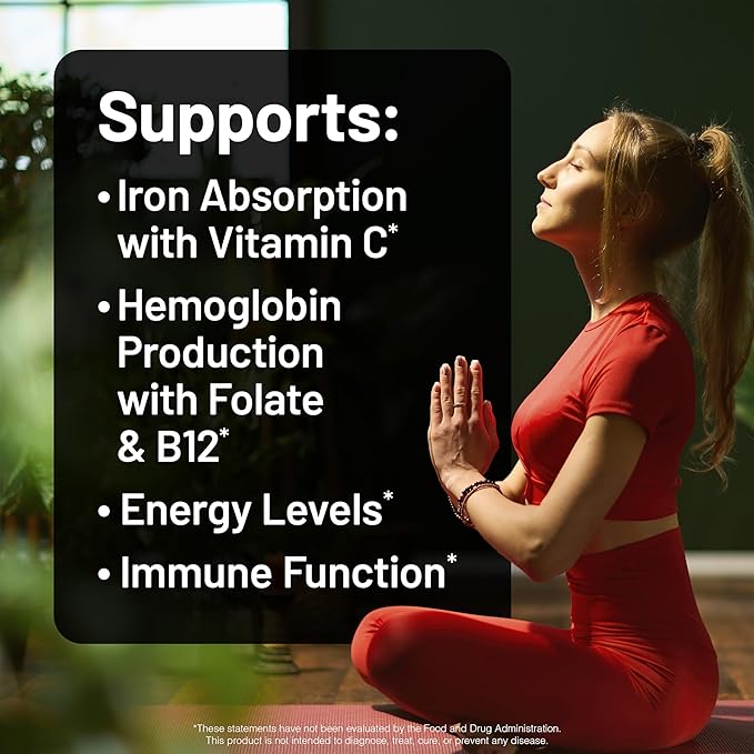 NatureWise Vegan Iron Supplement for Women & Men - Gentle on Stomach High Absorption - Coated Iron Bisglycinate Tablets + Vitamin C, Methyl B12, Folate & Organic Food Blend - 90 Tablets[90-Day Supply]