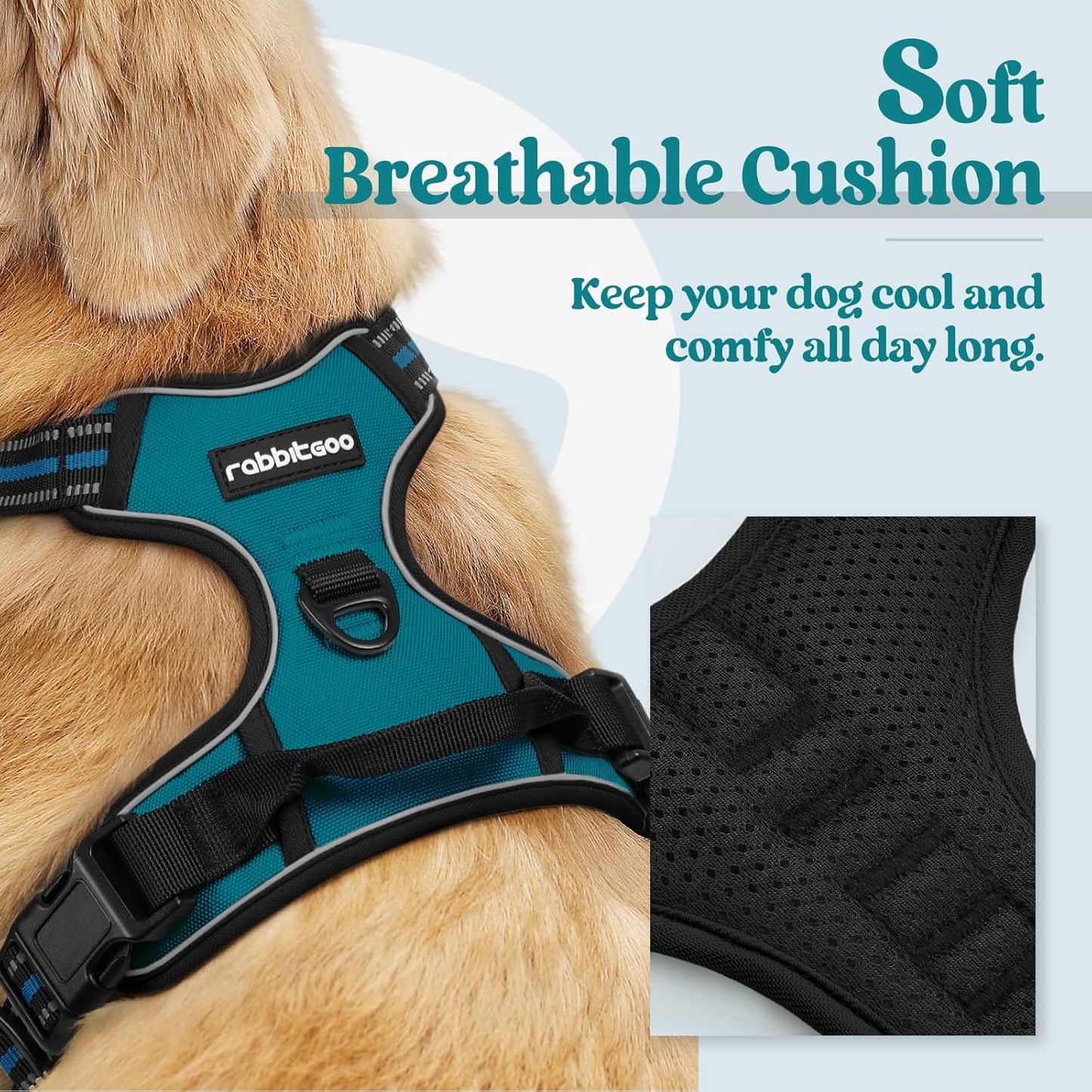 rabbitgoo Dog Harness No Pull with 2 Leash Clips, Adjustable Soft Padded, Reflective Oxford No Choke Pet Vest with Easy Control Handle for Medium Sized Dogs, Blue Coral, M