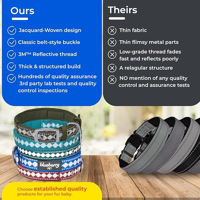 Blueberry Pet Reflective Jacquard Dog Collar with Neoprene Padding & Metal Buckle | Soft & Adjustable Safety Collar - Macaw Green, Neck 13-16.5", for Medium Breed