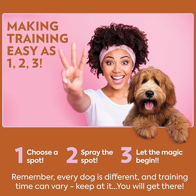 OUT! PetCare Go Here Attractant Dog and Puppy Potty Training Spray, Safe & Effective Puppy Pee Spray, Dog Housebreaking Supplies, Indoor and Outdoor House Training Tool, 32 oz