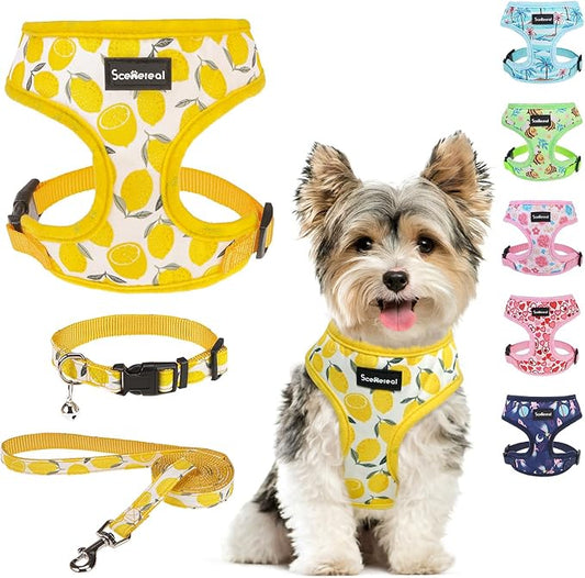 SCENEREAL Small Dog Harness and Leash Collar Set - No Pull Dog Harness for Small & Medium Sized Dogs - Soft Mesh Vest for Puppies, Chihuahua, Yorkie, Spring Summer Hiking Walking, Yellow Lemon S