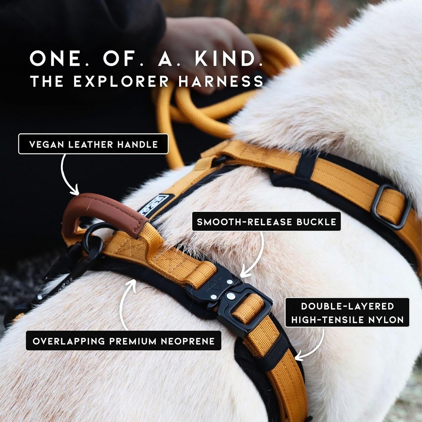 MADE TO ROAM Premium Explorer Harness - Y-Shaped Dog Harness with Adjustable Durable Nylon, Soft Padding, Metal Buckles and Leather Handle for Small, Medium, Large Dogs (California Horizon, Size 1)