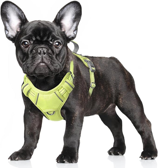 BARKBAY No Pull Dog Harness Large Reflective Dog Harness with Front Clip and Easy Control Handle for Walking Training Running with ID tag Pocket(Sunlight,S)