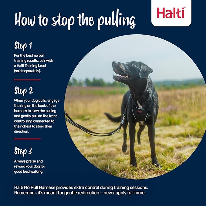 Halti No Pull Harness - Stop Your Dog Pulling on The Leash. Adjustable, Lightweight and Easy to Use. Reflective Dog Training Harness for Small Dogs (Size S, Burnt Orange)