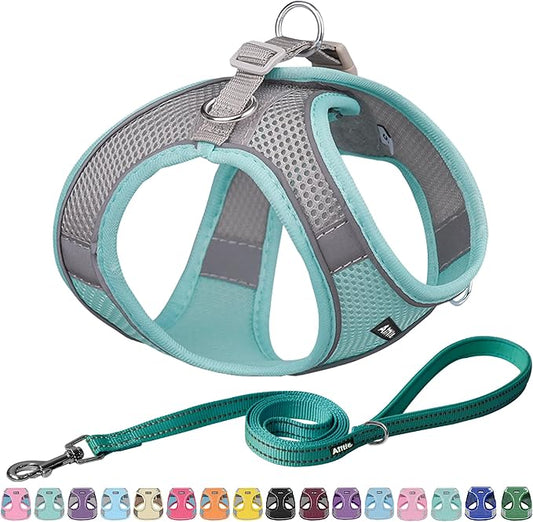 AIITLE No Pull Dog Harness and Leash Set, Step in Adjustable Dog Harness with Padded Vest for All Weather, Dog Leash with Soft Padded Handle, Easy to Put on Small and Medium Dogs Turquoise S
