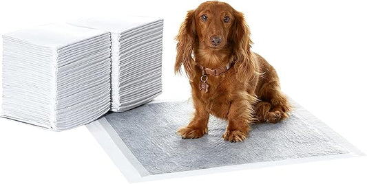 Amazon Basics Carbon Odor Control Dog and Puppy Pee Pads, 5-Layer Leak-Proof Super Absorbent, Quick-Dry Surface for Potty Training, Regular Size 22"x22", Gray, 80 Count