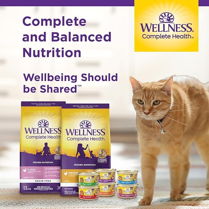 Wellness Complete Health Cubed Adult Wet Cat Food, Natural, Protein-Rich, Grain Free, 5.5 Ounce, 24 Pack, (Turkey Entrée)