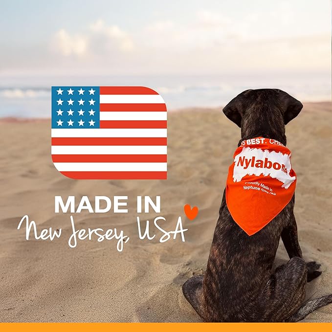 Nylabone Power Chew Classic Bone Chew Toy for Dogs, Durable Dog Toys for Aggressive Chewers, Bacon Flavor, Medium/Wolf - Up to 35 lbs. (1 Count)