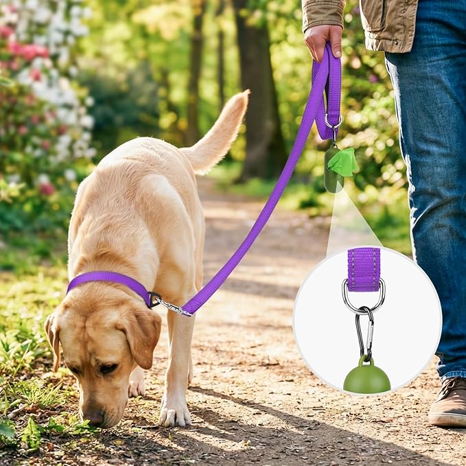 Joytale Dog Leash, 4 FT Double-Sided Reflective, Padded Handle Nylon Heavy Duty Leashes for Small Dogs Walking, Purple