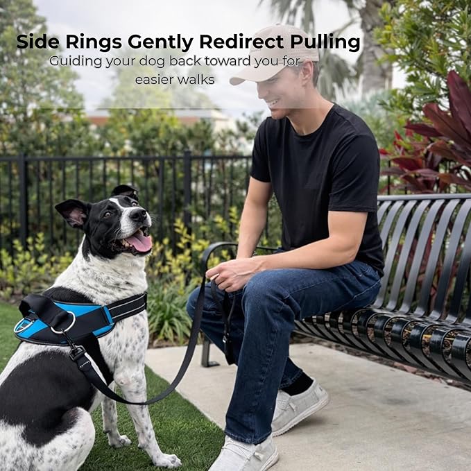 ShawnCo Essential Dog Harness, No-Pull Pet Vest with 3 Leash Clips, No Choke, Reflective, Adjustable and Padded, for Easy Walking and Training for Small, Medium and Large Dogs (Orchid, XS)