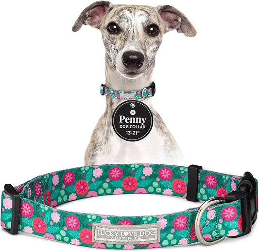 Lucky Love Dog - Adjustable Dog Collar with Easy Click Buckle for Medium Dogs, Durable, & Comfortable for Male & Female Dogs, Pet Collar for Puppies & Adult Ones - Penny, Medium
