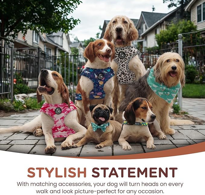 No Pull Harness and Leash Set - 6-in-1 Adjustable Vest Harness and Collars for Medium and Large Dogs. (Cosmic, Medium)