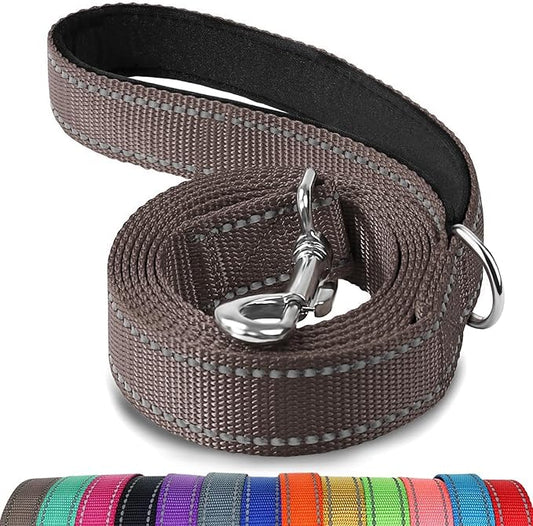 Joytale Double-Sided Reflective Dog Leash, 4 FT, Padded Handle Nylon Heavy Duty Leashes for Medium & Large Dogs Walking, Brown