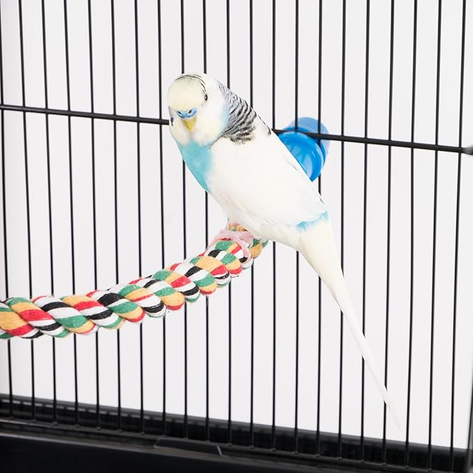 PENN-PLAX Bird Life Multicolored and Flexible Rope Perch – Create Fun, Colorful Curves and Bends – Great for Small and Medium Birds – 21” Long
