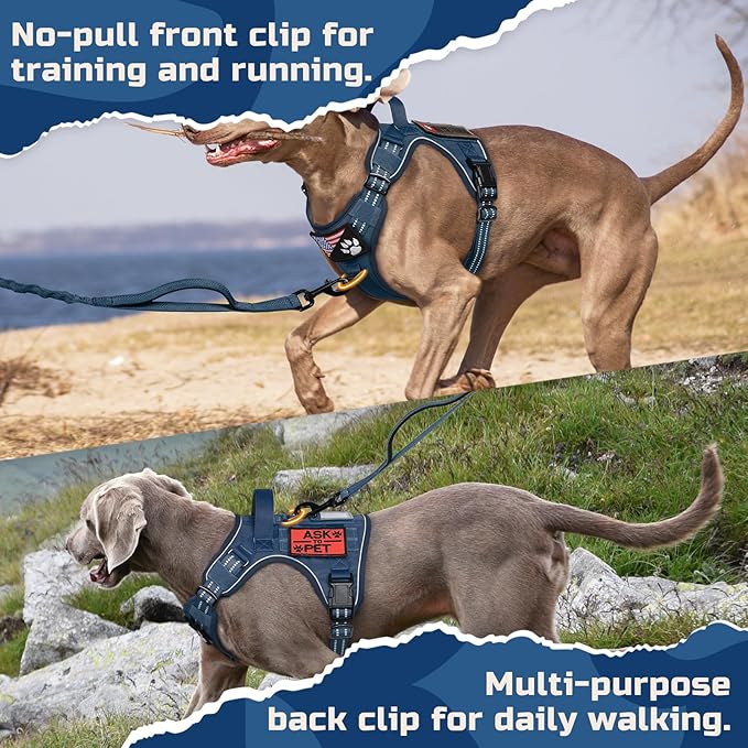 rabbitgoo Tactical Dog Harness for Large Dogs, No Pull Military Service Vest with Handle & Molle, Easy Control for Training Walking, Adjustable Reflective Straps, Blue, L