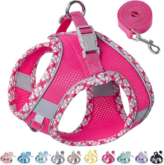 Petank Dog Harness for Small Medium Dogs No Pull, Puppy Harness and Leash Set for Walking, Running, Training, Small Dog Harness, Medium Dog Harness (Rose Red, XXS)