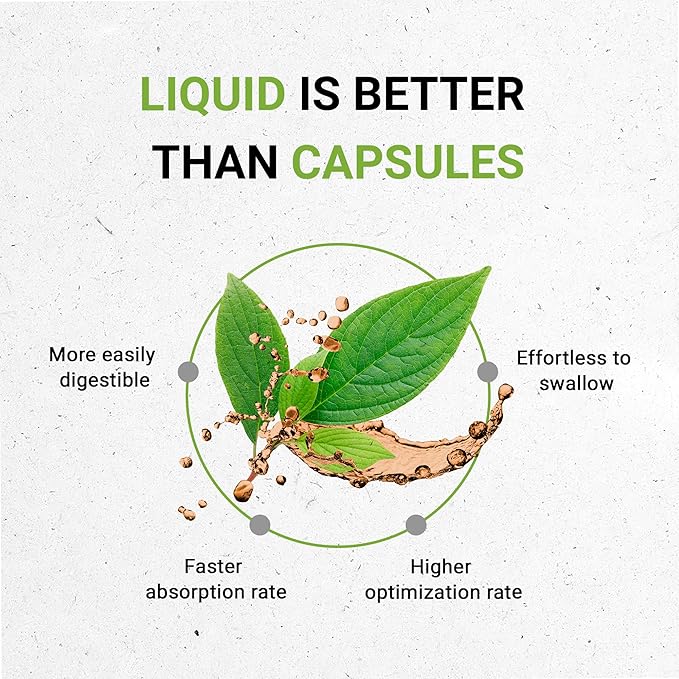 California Poppy USDA Organic Tincture | Alcohol-FREE Extract, High-Potency Herbal Drops | Made from 100% Certified Organic California Poppy (Eschscholzia Californica) Dried Herb and Flower (2 oz)