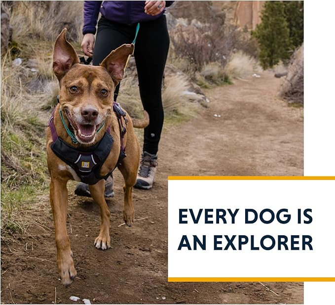 Ruffwear, Web Master, Multi-Use Support Dog Harness, Hiking and Trail Running, Service and Working, Everyday Wear, Blaze Orange, Medium