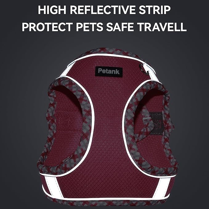 Petank Dog Harness for Small Medium Dogs No Pull, Puppy Harness and Leash Set for Walking, Running, Training, Small Dog Harness, Medium Dog Harness (Rose Red, L)