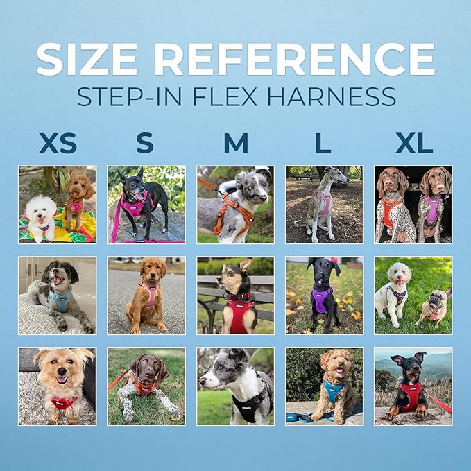 Best Pet Supplies Voyager Adjustable Step-in Flex Breathable Mesh Dog Harness for Small Medium Large Dogs (Pink), XS