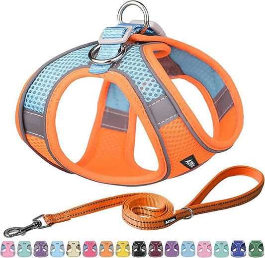 AIITLE Dog Harness, No-Pull Cat Harness with a Leash, Adjustable Reflective Dog Vest, Cat Harness Escape Proof, Outdoor Walking, Running,Training for Extra Small Dogs and House Cats Orange XXXS