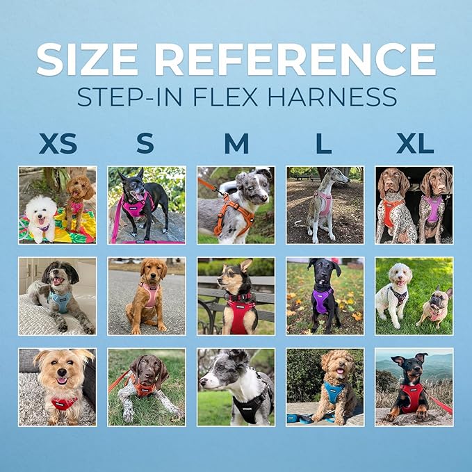 Best Pet Supplies Voyager Adjustable Step-in Flex Breathable Mesh Dog Harness for Small Medium Large Dogs (Orange), S