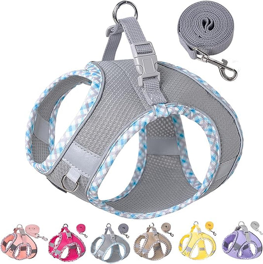 Petank Dog Harness for Small Medium Dogs No Pull, Puppy Harness and Leash Set for Walking, Running, Training, Small Dog Harness, Medium Dog Harness (Grey, XXS)