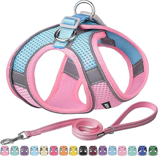AIITLE Easy Walk Dog Harness and Leash Set - Pet Supply No Pull, Step in Adjustable Dog Harness with Padded Vest, Dog Harness No Choke Over, Easy to Put on Medium Dogs Pink L