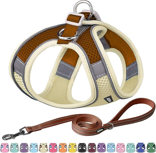 AIITLE Step in Dog Harness and Leash Set - No Pull Escape Proof Vest Harnesses with Soft Mesh and Reflective Bands, Adjustable Pet Outdoor Harnesses for Small and Medium Dogs Beige M