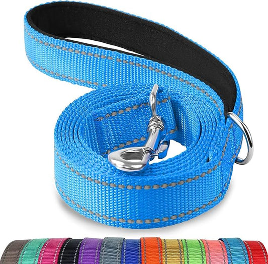Joytale Dog Leash, 5 FT Double-Sided Reflective, Padded Handle Nylon Heavy Duty Leashes for Small Dogs Walking, Sky Blue