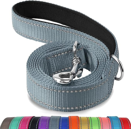 Joytale Dog Leash, 4 FT Double-Sided Reflective, Padded Handle Nylon Heavy Duty Leashes for Medium & Large Dogs Walking, Grey