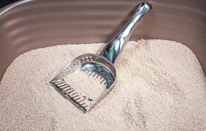 RSVP International Endurance Collection Stainless Steel Kitty Litter Scoop, 4.75x2.5x11.25"