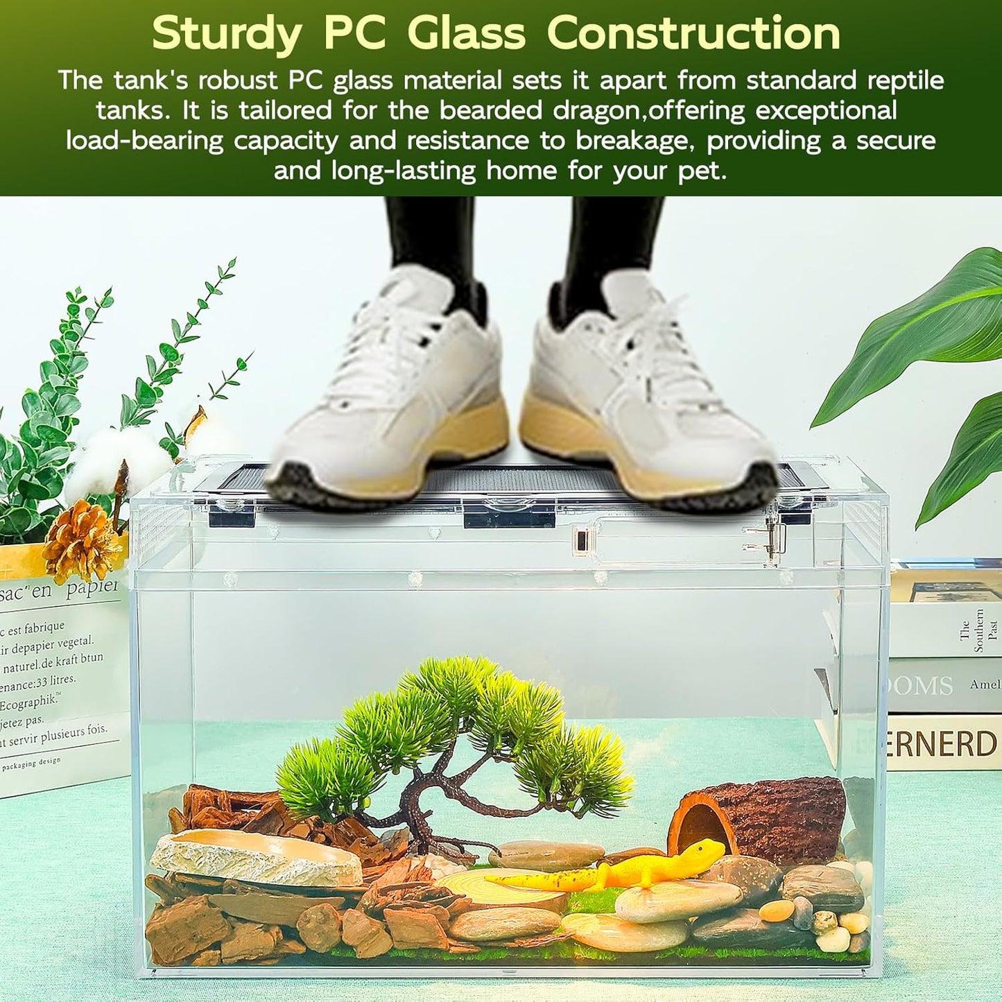 12.5''×6''×7'' Reptile Tank Kit with Heat Lamp, Spray Bottle, Shovel, Tweezers, Food Bowl, Hideout -Perfect for Geckos, Snakes, Lizards, Turtles, Jumping Spider,Milk Frog,Hermit Crabs