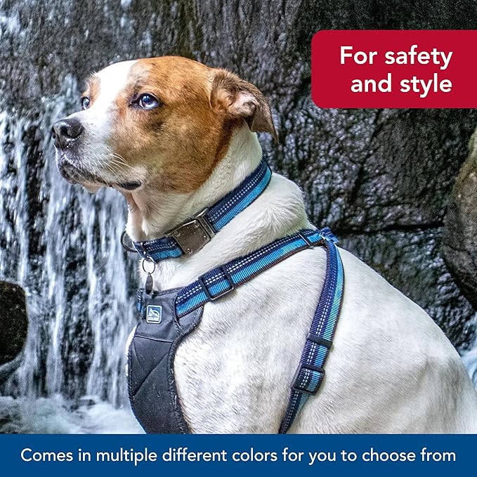Coastal Pet K9 Explorer Reflective Adjustable Dog Collar - Comfortable Collar for The Outdoors - Durable, Lightweight Accessory with Side-Release Buckle - Goldenrod, 5/8" x 10-14"